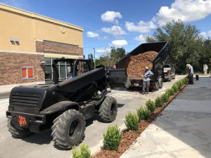 Landscape Installation